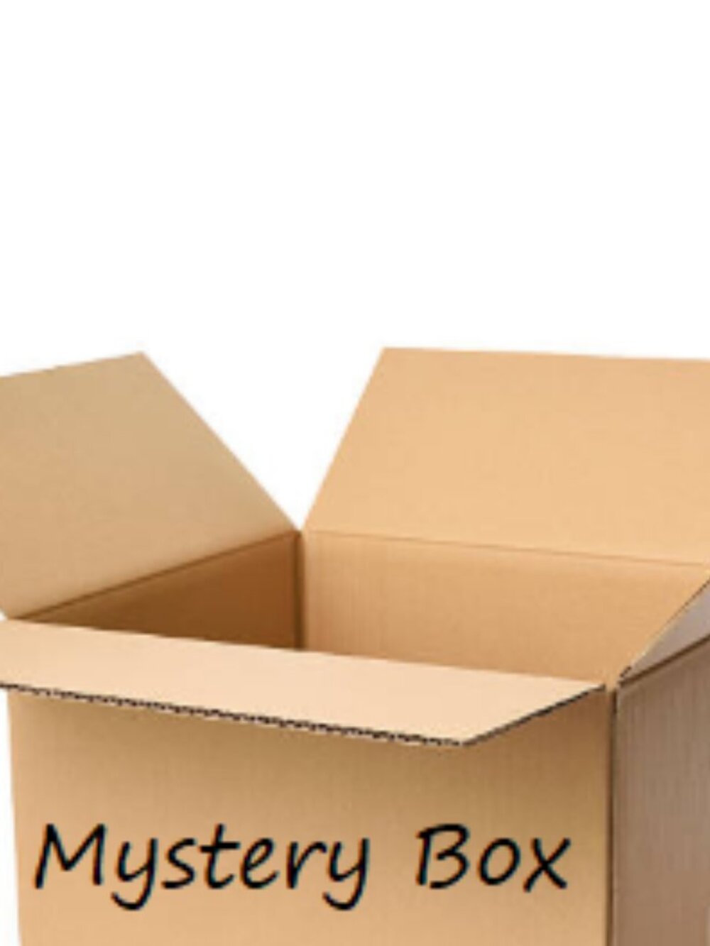 👗 Mystery Box Women's Clothing & Accessories 👜